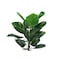 Monarch Specialties Artificial Plant 54" Tall Dieffenbachia Tree, Indoor, Faux, Fake, Floor, Greenery Potted, Real Touch I 9519 - alternate 4